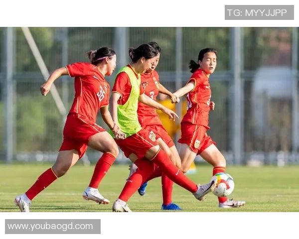 挪威女足球星：从草根到世界舞台的辉煌历程与成就